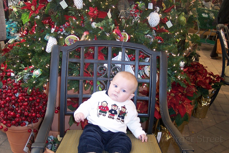 William's Twenty-Fourth Week 13.jpg